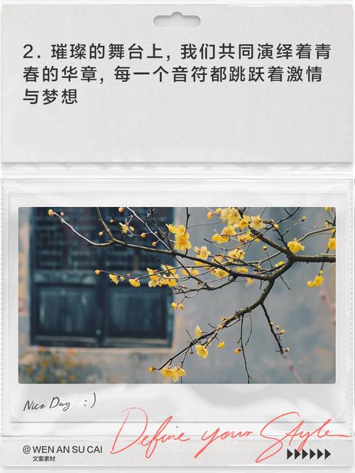 光影交错，心声共振